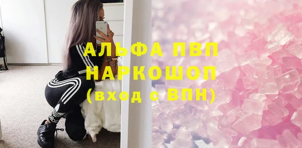 ПСИЛОЦИБИНОВЫЕ ГРИБЫ Вяземский