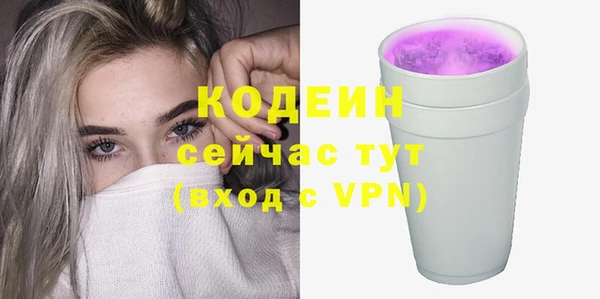 ПСИЛОЦИБИНОВЫЕ ГРИБЫ Вяземский