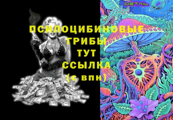 ПСИЛОЦИБИНОВЫЕ ГРИБЫ Вяземский