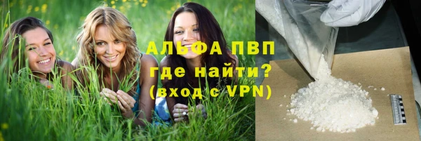 ПСИЛОЦИБИНОВЫЕ ГРИБЫ Вяземский