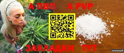 шишки Можга