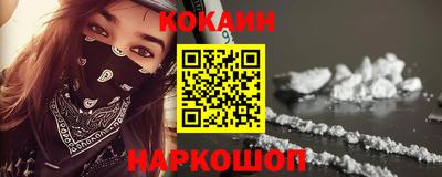 шишки Можга