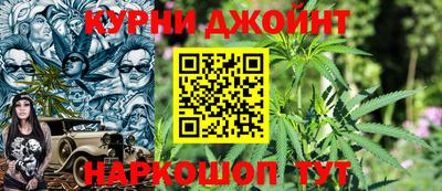 шишки Можга