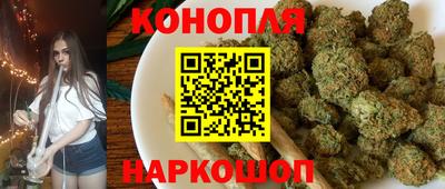 стафф Моздок