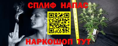 стаф Можайск