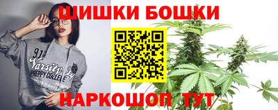 стафф Моздок